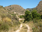 Grupo Mineralógico de Alicante.Alrededores del Rincón Bello en Agost. Alicante   