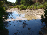 Grupo Mineralógico de Alicante.Alrededores del Rincón Bello en Agost. Alicante  