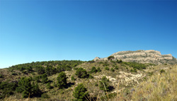 Grupo Mineralógico de Alicante. Alrededores del Rincón Bello en Agost. Alicante   