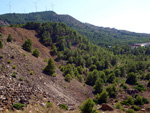 Grupo Mineralógico de Alicante. Cabezo de San Juan. minas Rómulo y Pajaritos.
 La Unión. Murcia   