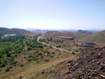 Grupo Mineralógico de Alicante.  Ópalo con Dendritas.Cabezo de San Juan. minas Rómulo y Pajaritos.
 La Unión. Murcia  