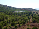Grupo Mineralógico de Alicante. Cabezo de San Juan. minas Rómulo y Pajaritos.
 La Unión. Murcia  