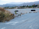 Grupo Mineralógico de Alicante.Cantera Casablancia. San Vicente del Raspeig. Alicantea  