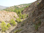 Grupo Mineralógico de Alicante. Explotación de Ofitas en la Sierra de Olta. Calpe. Alicante   