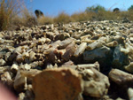 Grupo Mineralógico de Alicante. Afloramiento de Aragonitos. Casas de Ves. Albacete   