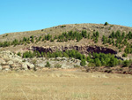 Grupo Mineralógico de Alicante. Afloramiento de Aragonitos. Casas de Ves. Albacete   