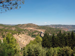 Grupo Mineralógico de Alicante.  Ópalo con Dendritas.Cofrentes. Valencia  