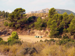 Grupo Mineralógico de Alicante. Mina San Francisco. Tibi. Alicante  
