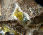 Grupo Mineralógico de Alicante. Azufre, celestina y calcita. Mina San Francisco. Tibi. Alicante  