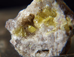 Grupo Mineralógico de Alicante. Azufre. Mina San Francisco. Tibi. Alicante  
