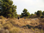 Grupo Mineralógico de Alicante. Mina San Francisco. Tibi. Alicante  