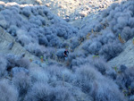 Grupo Mineralógico de Alicante. Cabezo Negro. Zeneta. Murcia  