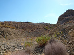 Grupo Mineralógico de Alicante. Cabezo Negro. Zeneta. Murcia  