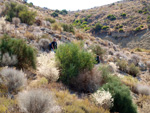 Grupo Mineralógico de Alicante.Cabezo Negro. Zeneta. Murcia  