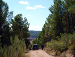 Grupo Mineralógico de Alicante.La Escarabehuela. Enguidanos. Cuenca  