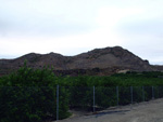 Grupo Mineralógico de Alicante. Cabezo Negro. Zeneta. Murcia  