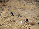 Grupo Mineralógico de Alicante. Cabezo Negro. Zeneta. Murcia  