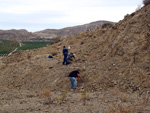 Grupo Mineralógico de Alicante.Cabezo Negro. Zeneta. Murcia 