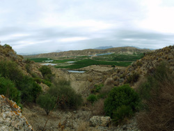 Grupo Mineralógico de Alicante. Cabezo Negro. Zeneta. Murcia  