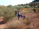 Grupo Mineralógico de Alicante. Afloramiento del Keuper, Chella. Comarca Canal de Navarrés, València