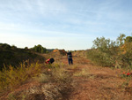 Grupo Mineralógico de Alicante. Afloramiento del Keuper, Chella. Comarca Canal de Navarrés, València