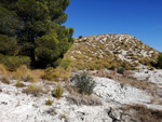 Grupo Mineralógico de Alicante. Embalse de Camarillas. Agramón. Albacete 