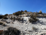 Grupo Mineralógico de Alicante. Embalse de Camarillas. Agramón. Albacete 