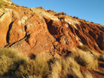 Grupo Mineralógico de Alicante. Yacimiento de Aragonitos de Loma Badá. Petrer. Alicante   