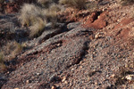 Grupo Mineralógico de Alicante. Yacimiento de Aragonitos de Loma Badá. Petrer. Alicante   