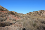 Grupo Mineralógico de Alicante.  Yacimiento de Aragonitos de Loma Badá. Petrer. Alicante    