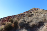 Grupo Mineralógico de Alicante.  Yacimiento de Aragonitos de Loma Badá. Petrer. Alicante    