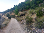 Grupo Mineralógico de Alicante. Mina Orcolana. Busot. Alicante   