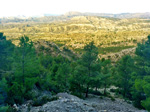 Grupo Mineralógico de Alicante. Mina Orcolana. Busot. Alicante   