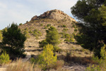 Grupo Mineralógico de Alicante. Pla de Xirau. San Vicente del Raspeig. ALicante   