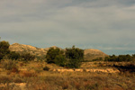 Grupo Mineralógico de Alicante. Pla de Xirau. San Vicente del Raspeig. ALicante   