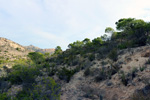 Grupo Mineralógico de Alicante.  Pla de Xirau. San Vicente del Raspeig. ALicante    