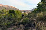 Grupo Mineralógico de Alicante.  Pla de Xirau. San Vicente del Raspeig. ALicante    