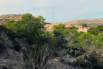 Grupo Mineralógico de Alicante. Pla de Xirau. San Vicente del Raspeig. ALicante    