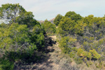 Grupo Mineralógico de Alicante. Pla de Xirau. San Vicente del Raspeig. ALicante   