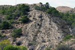 Grupo Mineralógico de Alicante.   Pla de Xirau. San Vicente del Raspeig. ALicante   