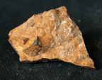 Grupo Mineralógico de Alicante. Pirita limonitizada.  Pla de Xirau.  San Vicente del Raspeig. ALicante   