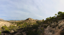 Grupo Mineralógico de Alicante. Pla de Xirau. San Vicente del Raspeig. ALicante   