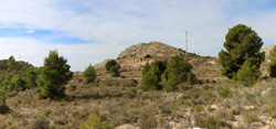 Grupo Mineralógico de Alicante. Pla de Xirau. San Vicente del Raspeig. ALicante   