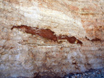 Grupo Mineralógico de Alicante.  Gravera del Barquero. Enguera. Valencia    