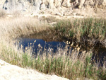 Grupo Mineralógico de Alicante. Lagunas de Rabasa. Alicante   