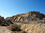 Grupo Mineralógico de Alicante. Lagunas de Rabasa. Alicante   