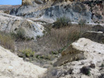 Grupo Mineralógico de Alicante. Lagunas de Rabasa. Alicante   