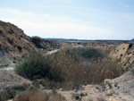 Grupo Mineralógico de Alicante. Lagunas de Rabasa. Alicante   