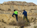 Grupo Mineralógico de Alicante. Lagunas de Rabasa. Alicante   