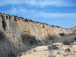 Grupo Mineralógico de Alicante. Lagunas de Rabasa. Alicante   